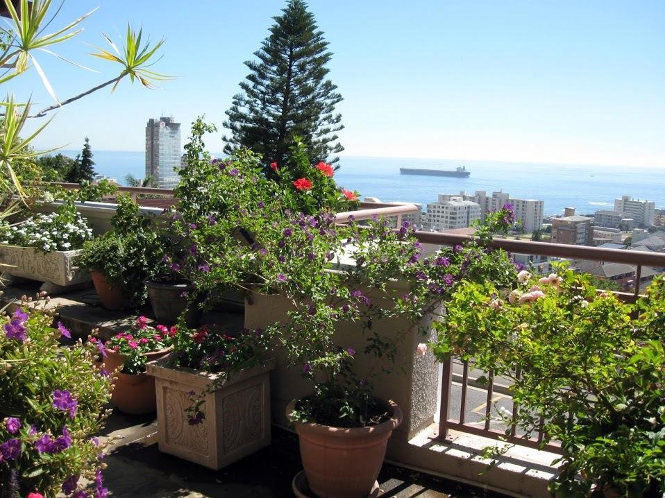 123 Ocean View Drive Apartment Cape Town Exterior photo