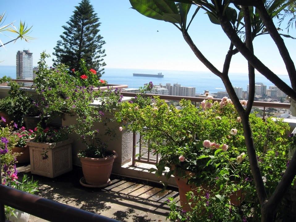 123 Ocean View Drive Apartment Cape Town Exterior photo